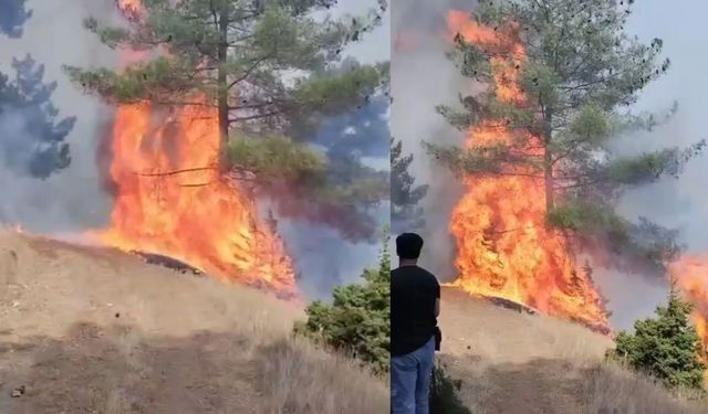 Türkoğlu’nda korkutan yangın alevler yükseldi!
