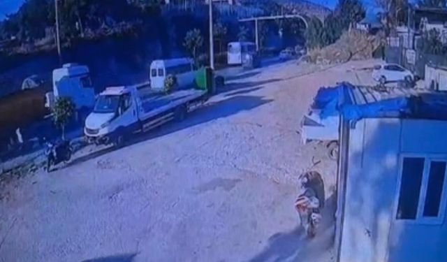Bodrum'da Kazada Motosiklet Sürücüsü Hayatını Kaybetti