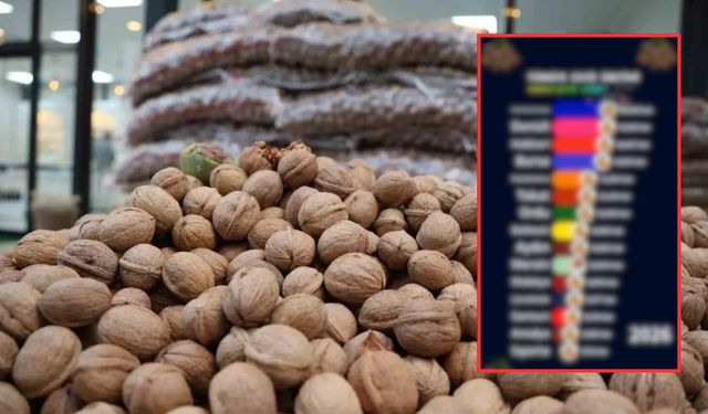 Cevizde Şampiyon Kahramanmaraş! En Çok Üreten Şehirler Belli Oldu