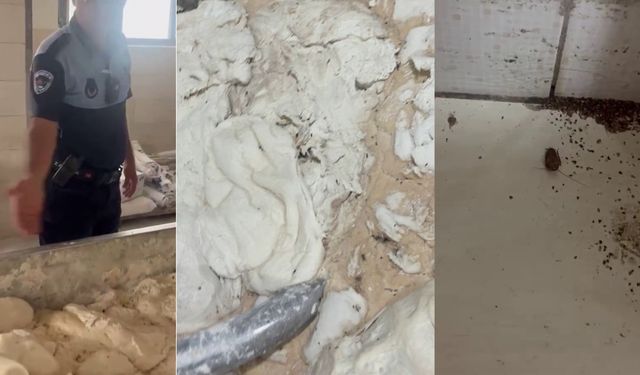Fırında mide bulandıran görüntüler: Hamam böceği ve sigara izmariti...