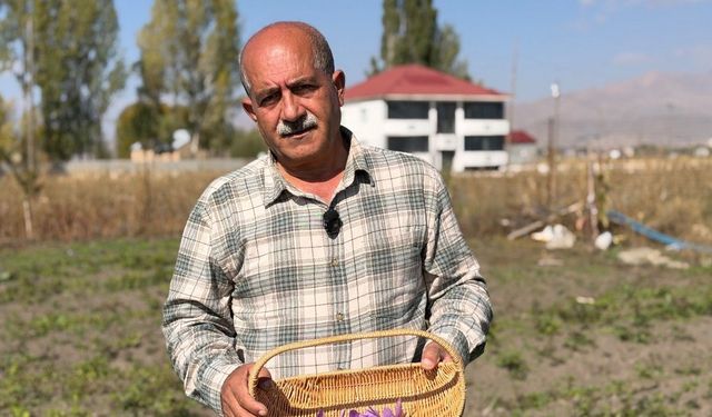 Esnaflığı bıraktı, kilosu 1 milyon lira olan dünyanın en pahalı baharatını yetiştirdi