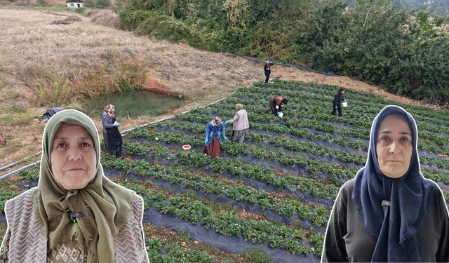 Kahramanmaraşlı kadınların emeği dijital pazara açılıyor