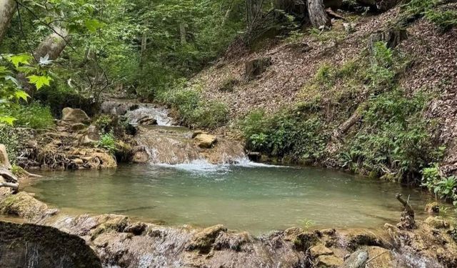 Kahramanmaraş'ta ağaçların arasında gizlenen kanyon! Fındıklı Dere doğaseverleri bekliyor