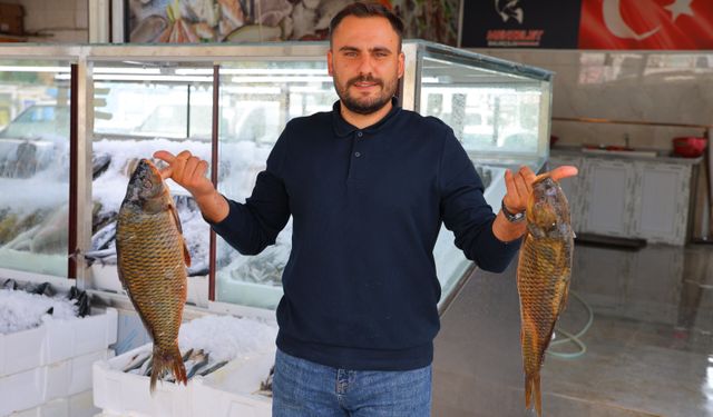 Kahramanmaraş’ta Balık Sezonu Başladı! En Ucuzu 200, En Pahalısı 1000 Lira