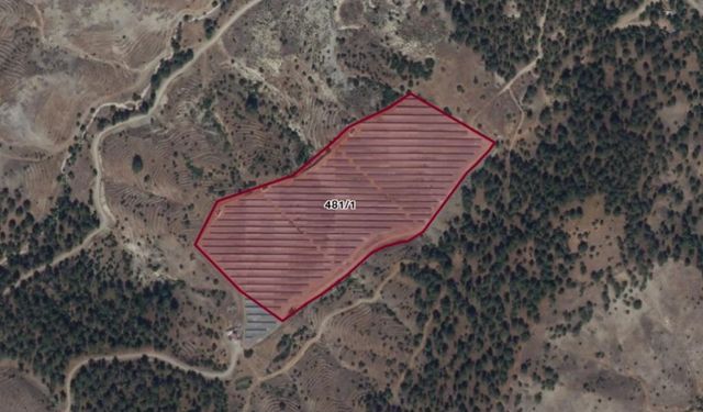 Kahramanmaraş'ta üzerinde GES bulunan 44 dönümlük tarla mahkemeden satışa çıkarıldı