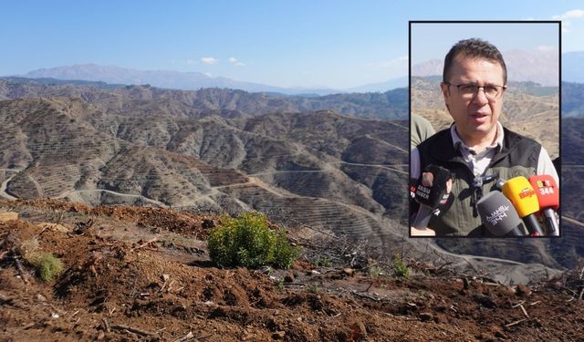 Kahramanmaraş’ta Yanan Ormanlar İçin 1 Milyon Fidan Dikilecek