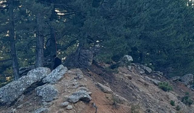 Kahramanmaraş'ta yol kenarında 24 yaşındaki gencin cansız bedeni bulundu