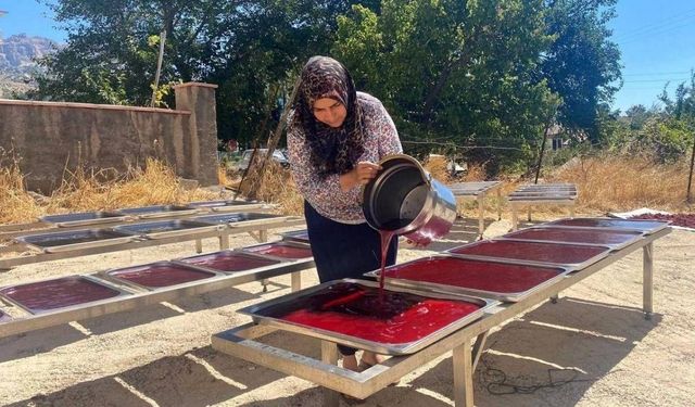 Maraş'ın iki ayrı sumak lezzeti tescille korunuyor