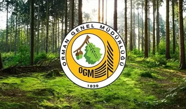 Orman Genel Müdürlüğü personel alımı yapacak: İşte detaylar