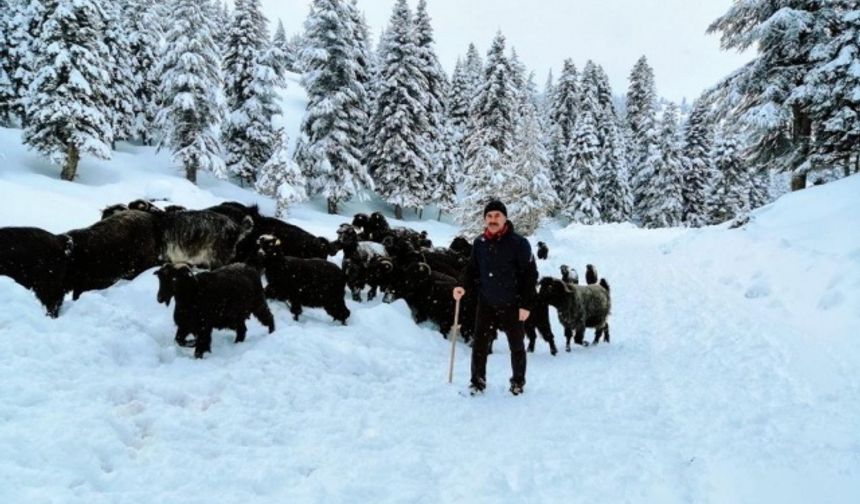 Kahramanmaraş'ta kar etkili oldu 