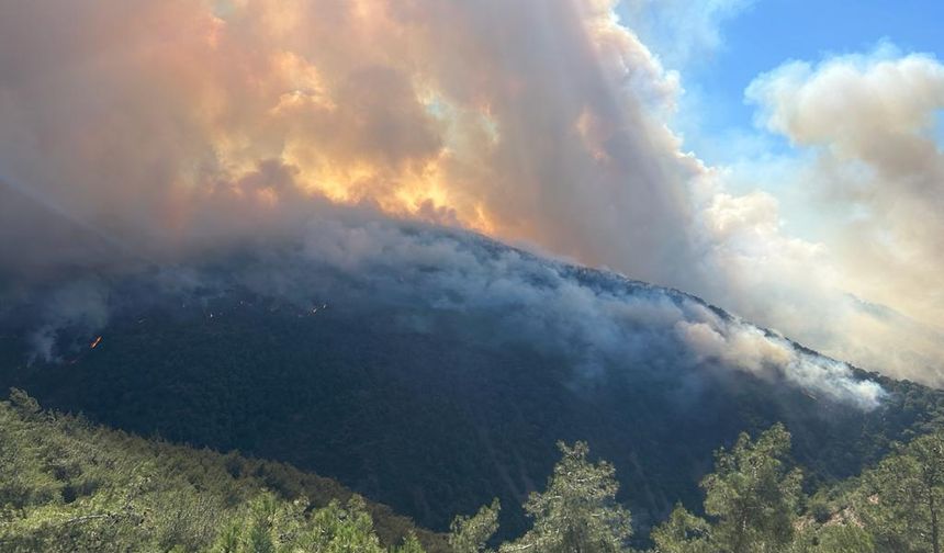 Hatay ve Osmaniye’de orman yangını