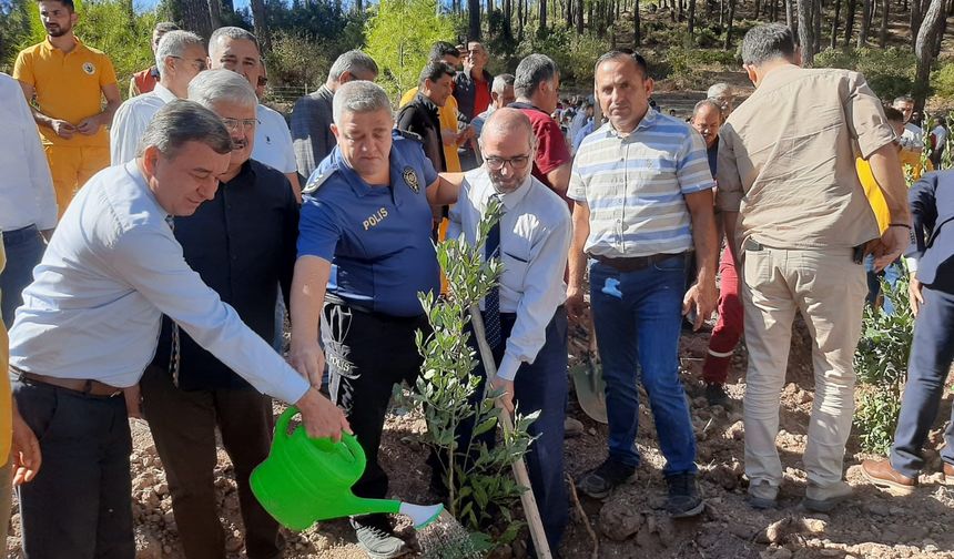 Kumluca'da Cumhuriyet'in 101. yılı anısına 450 fidan dikildi