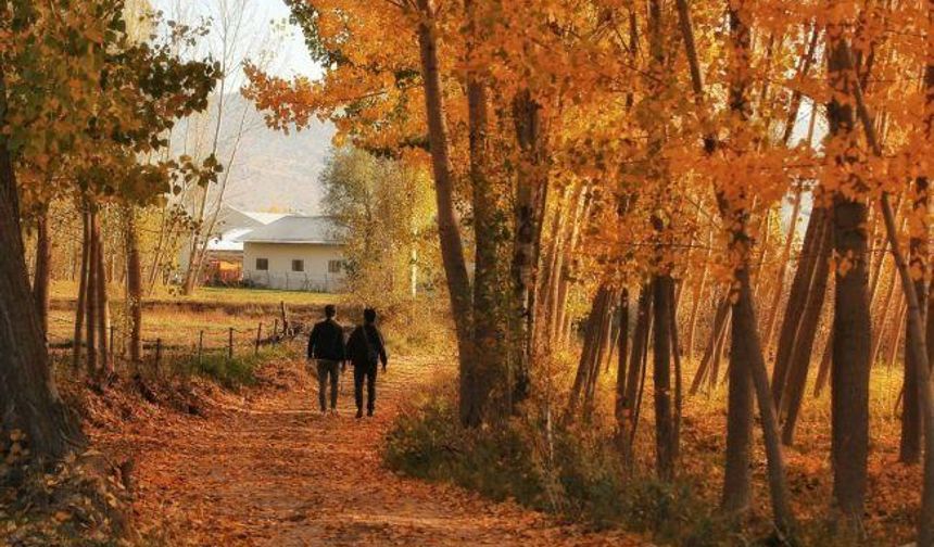 Fotoğrafçılar Sonbaharı Ölümsüzleştiriyor