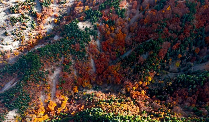 Kahramanmaraş'ta Kartpostallık Sonbahar Renkleri