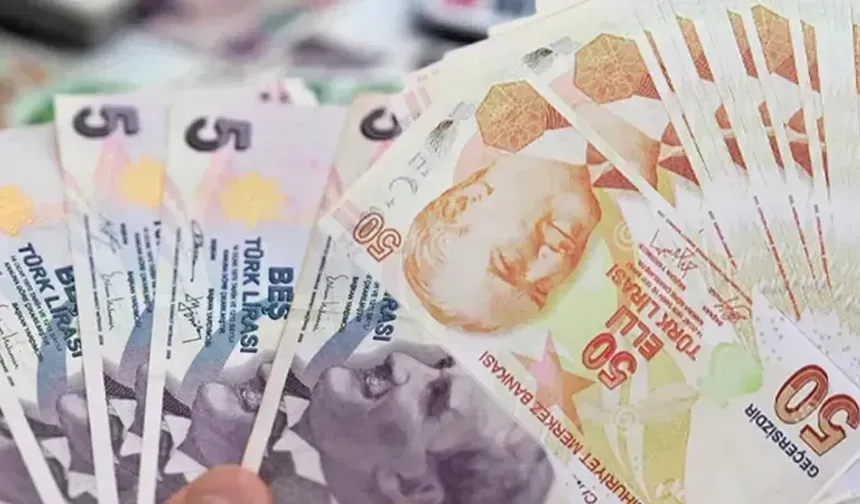 Yeni 50 TL ve 5 TL Banknotlar Bugünden İtibaren Tedavülde