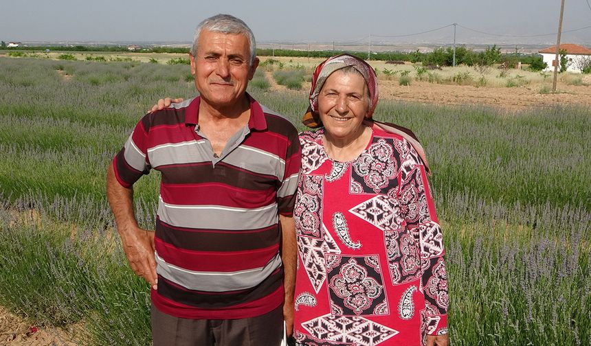 İnternetten gördüler, lavanta üreticisi oldular