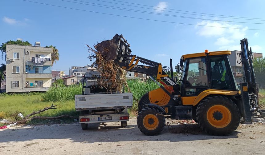 Yabani Otlar Trafik Güvenliğine Tehdit Oluşturuyor