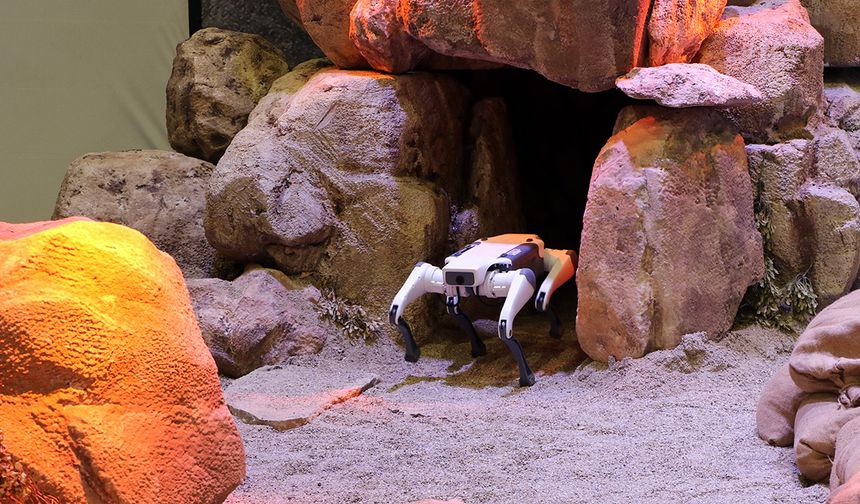 IDEF’te sergilenen zıplayan, takla atan ve selam veren robot köpekler ilgi görüyor