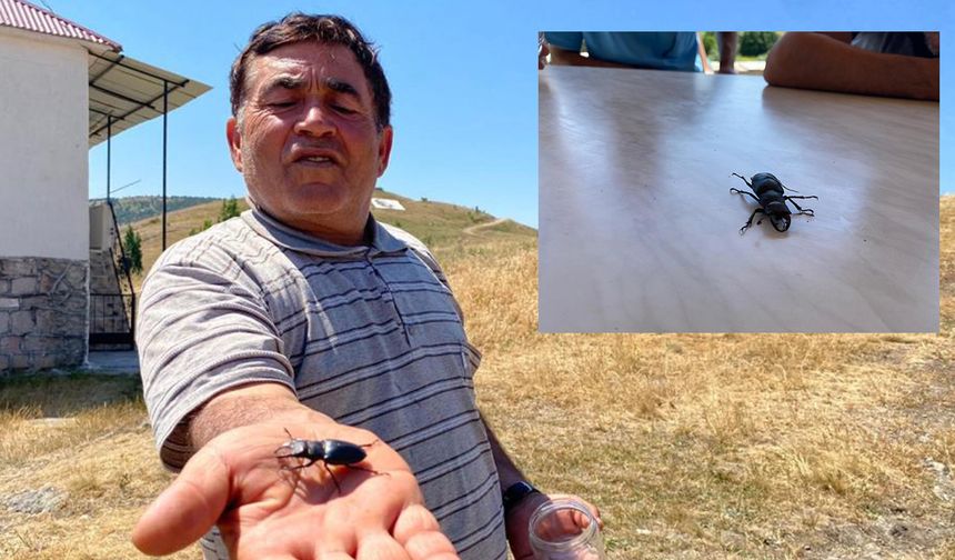 Öldürmenin cezası 557 bin TL, Sivas’ta görüldü