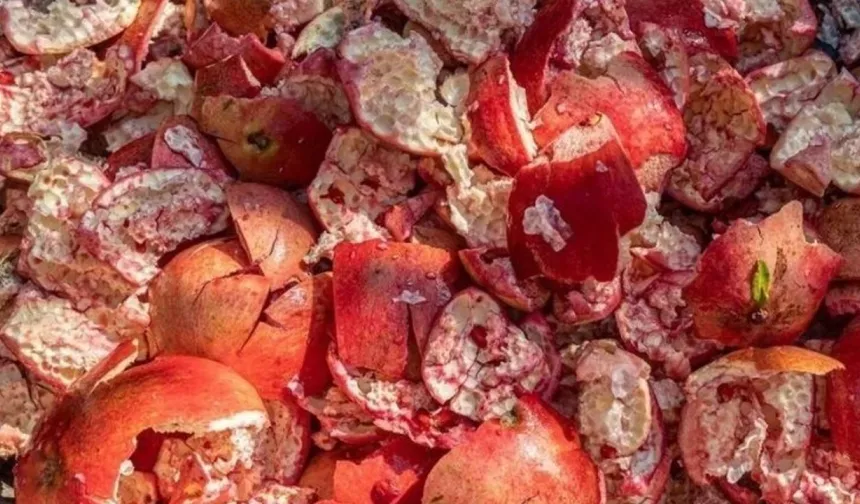 Nar kabuğunun faydaları? Nar kabuğu neye iyi gelir?