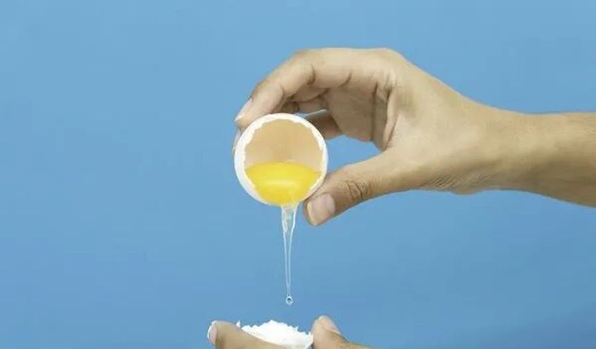 Yumurtadaki Beyaz İplikçik Chalaza: Tazelik ve Lezzetin Sırrı