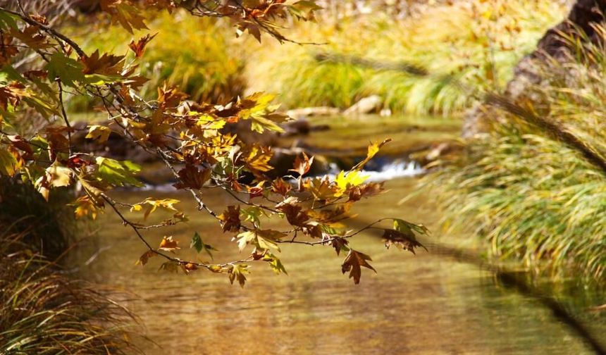Kahramanmaraş’ta Cödden Vadisi görenleri hayran bırakıyor