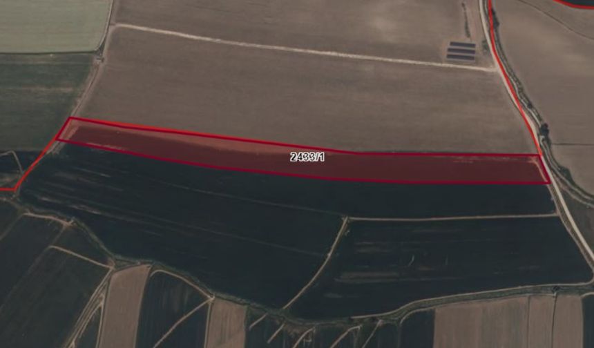 Kahramanmaraş Elbistan’da toplam 43.280 m² arazi icradan satışta