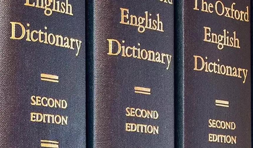 Oxford Sözlüğü 2025 yılının kelimesini seçti: Öfke yemi