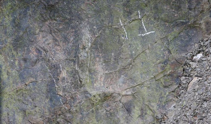 Çin’de 200 Milyon Yıllık Dinozor Ayak İzleri Bulundu