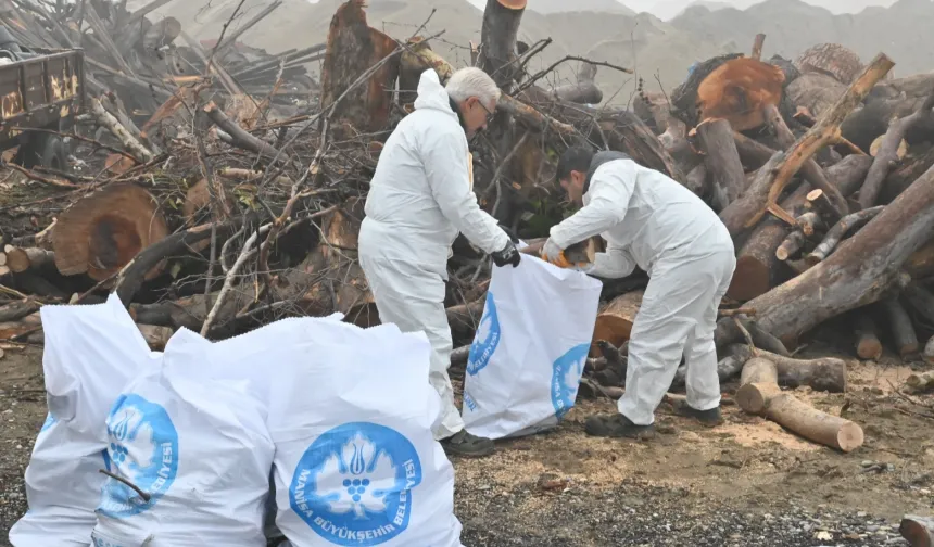 İhtiyaç sahiplerine odun desteği