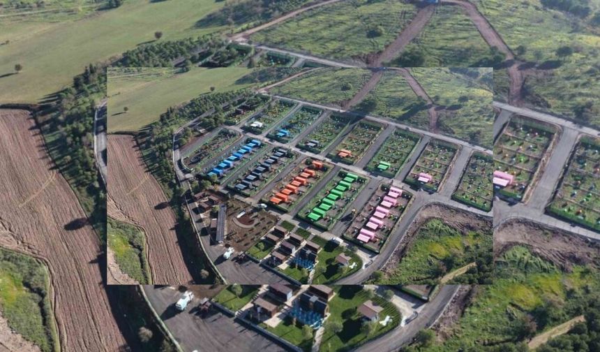 Kahramanmaraş depremi sonrası konteynerler sokak hayvanlarına yuva oldu