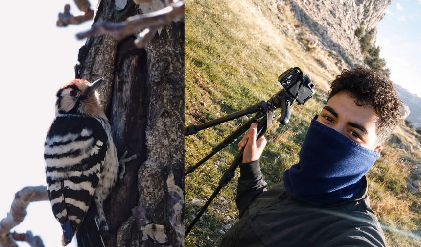 Kahramanmaraşlı genç fotokapanla yaban hayatını görüntülüyor