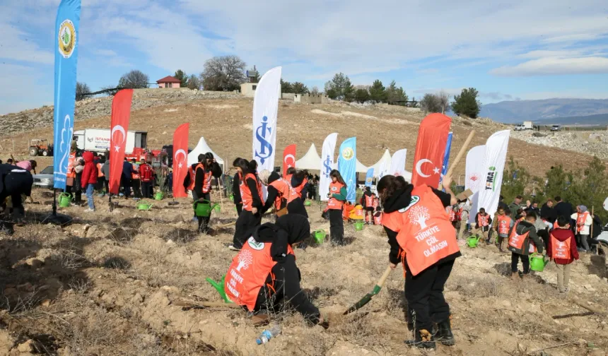 Kahramanmaraş’ta 30 bin fidan toprakla buluştu