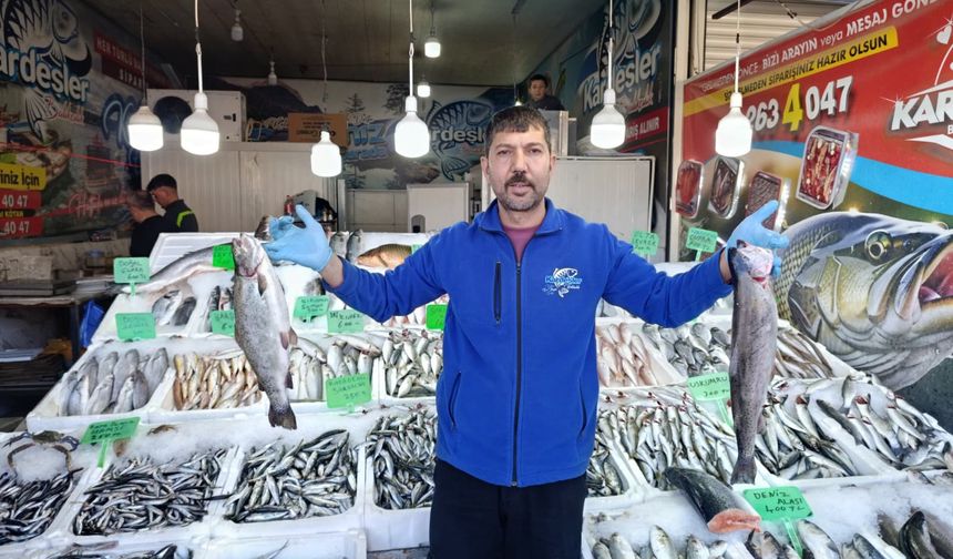 Kahramanmaraş’ta Balık Fiyatları ve Tüketim Rakamları Açıklandı