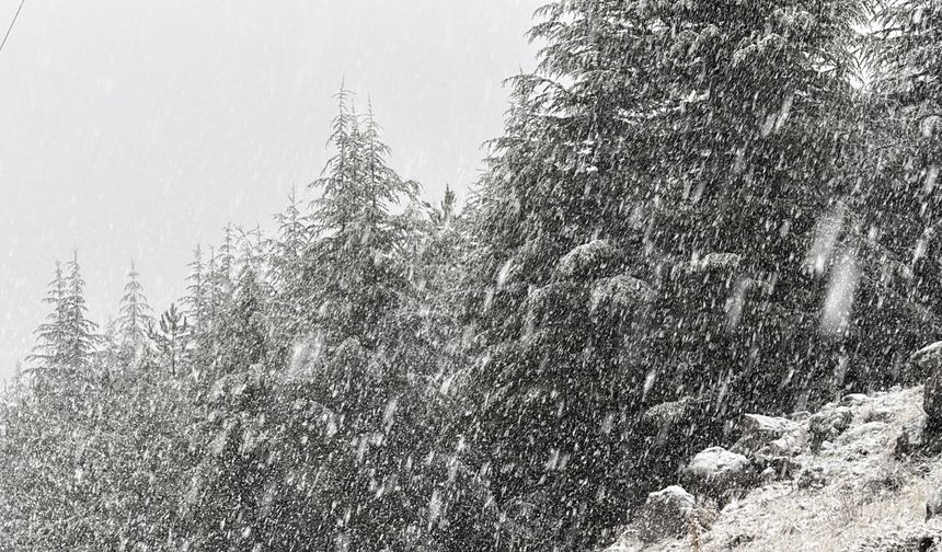Kahramanmaraş’ta kar etkili oldu
