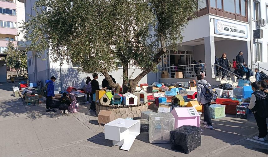 Kahramanmaraş’ta Öğrenciler Sokak Hayvanları İçin 500 Kedi Evi Üretti