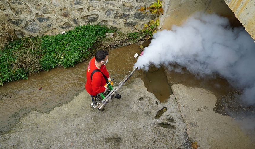 Kahramanmaraş'ta vektör zararlılara karşı kışlak ilaçlamaya başlandı