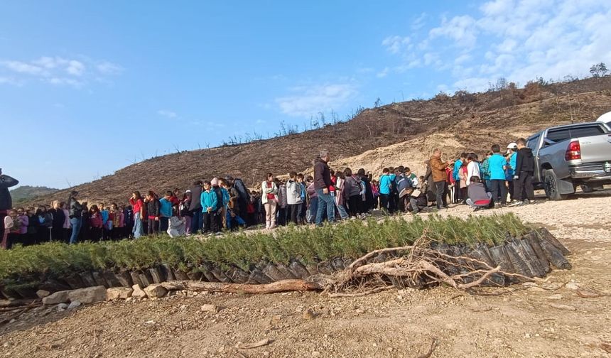 Kozan’da Öğrenciler Orman Yangını Alanını Fidanlarla Yeşertti