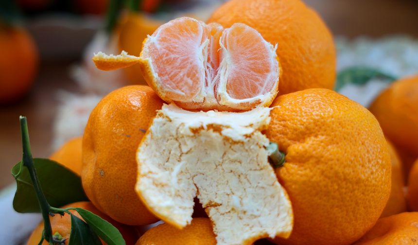 Mandalina Türkiye’nin En Ucuz Meyvesi Oldu