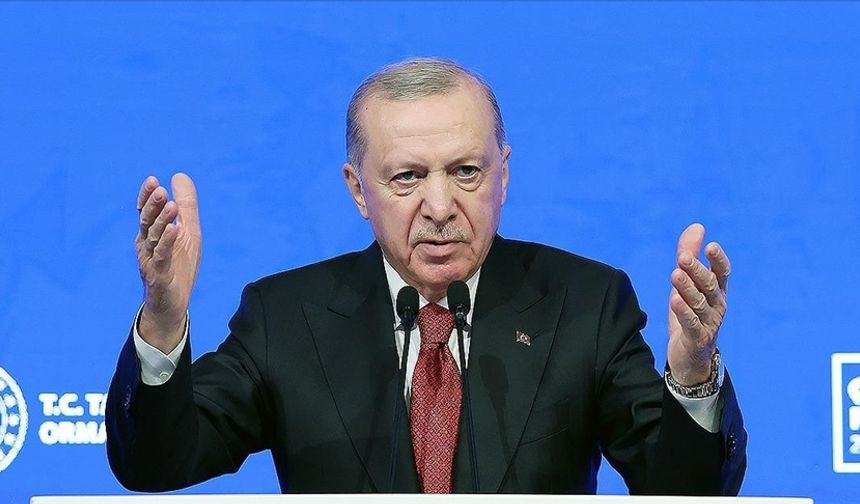 Cumhurbaşkanı Erdoğan Müjdeyi Verdi: 150 Bin Küçükbaş Hayvan Dağıtılacak