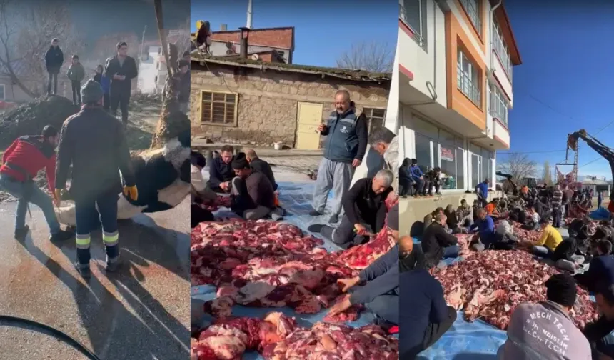 Kahramanmaraş'ta 11 Büyükbaş Kurban Mahalleye Pay Edildi