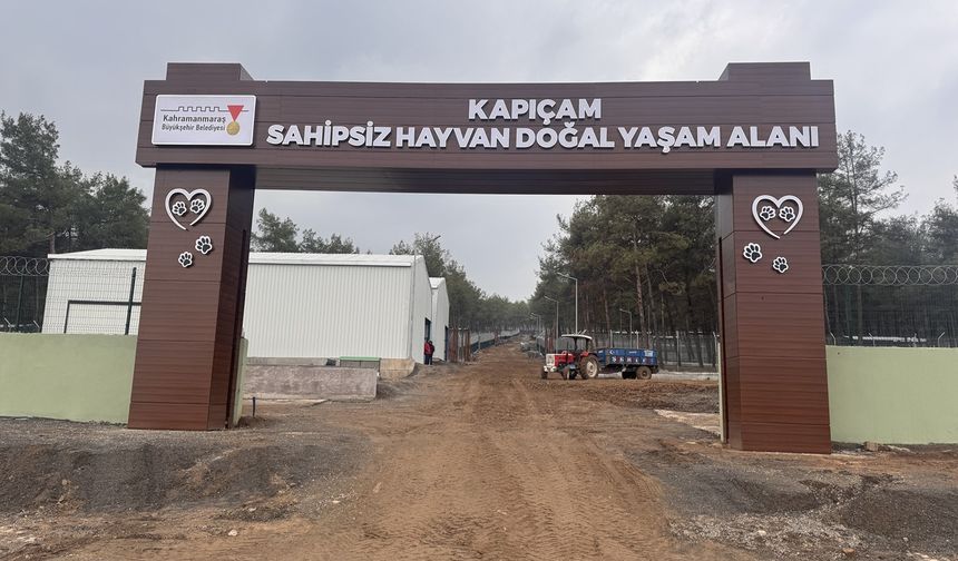 Kahramanmaraş’ta Kapıçam Sokak Hayvanları Merkezi Yenilendi