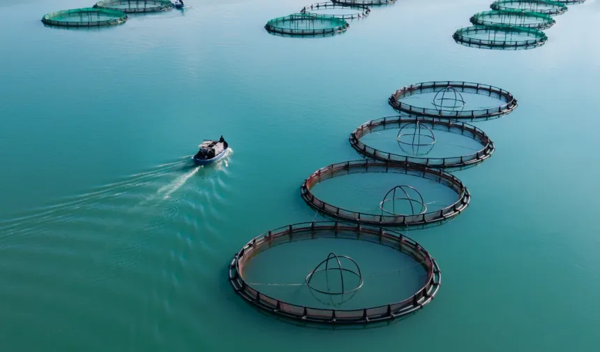 Kahramanmaraş'ta somon ve alabalık üretimiyle bölge ekonomisine katkı