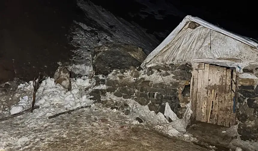 Kahramanmaraş'ta kurtlar koyun sürüsüne saldırdı!  70 koyun telef oldu