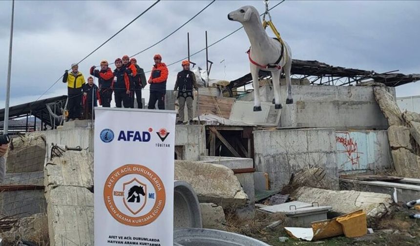 AFAD'dan afetlerde hayvanların korunmasına yönelik uluslararası proje
