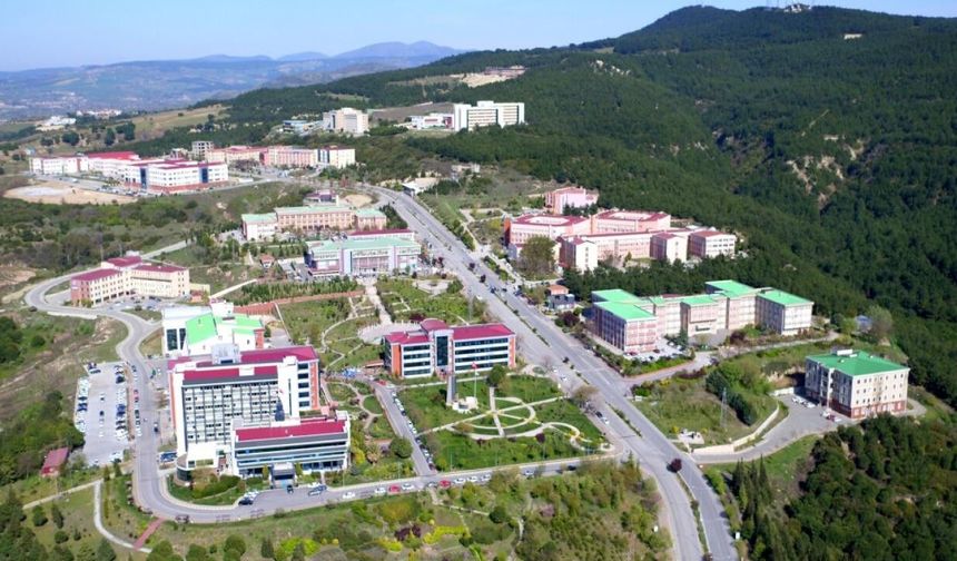 Dilek Çeri Kimdir, Nerede Görev Yapıyor? ÇOMÜ Akademisyeni Hakkında Merak Edilenler