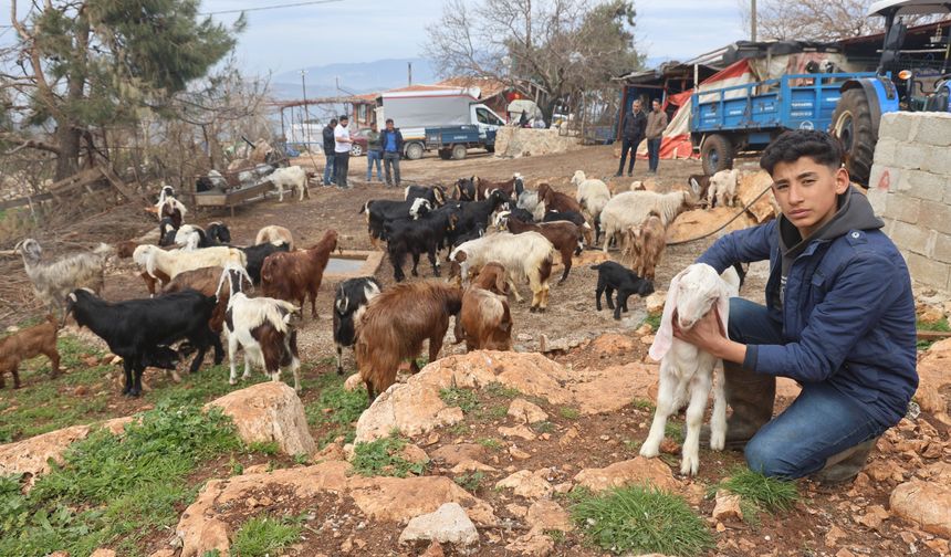 Kahramanmaraşlı yetiştiricilere müjde! Ücretsiz eğitimle katılım belgesi sahibi olun