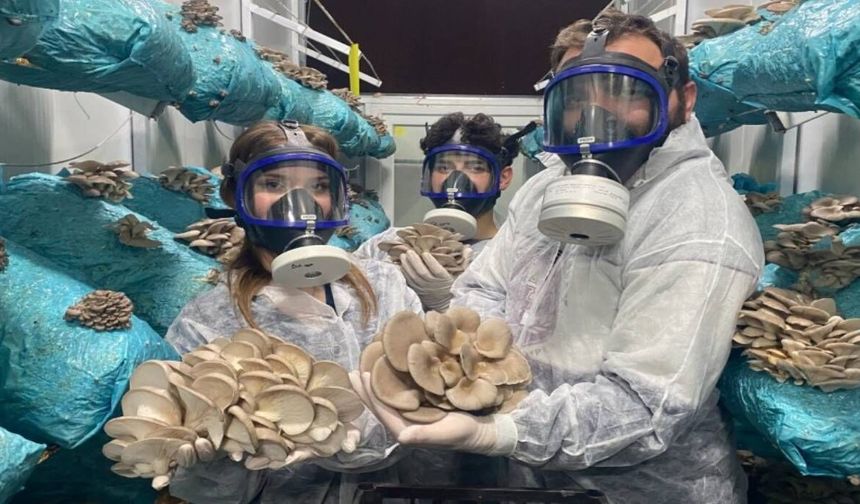 Hobi olarak başladı, tesis kurdu; Günde 1 ton üretiyor