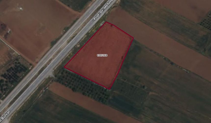 Kahramanmaraş Göksun’da 7 bin 981 metrekare tarla satışa çıktı