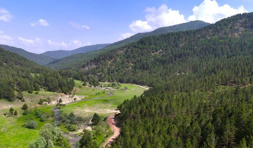 Kahramanmaraş’ın Doğa Mirası Güvence Altında: Milli Parklar Kanunu TBMM’den Geçti